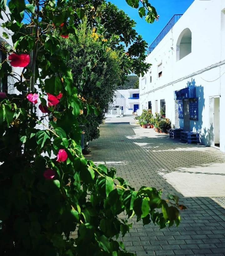 Casa Del Pez Vivienda A Pie De Calle En Agua Amarga A 250 Metros De La Playa エクステリア 写真